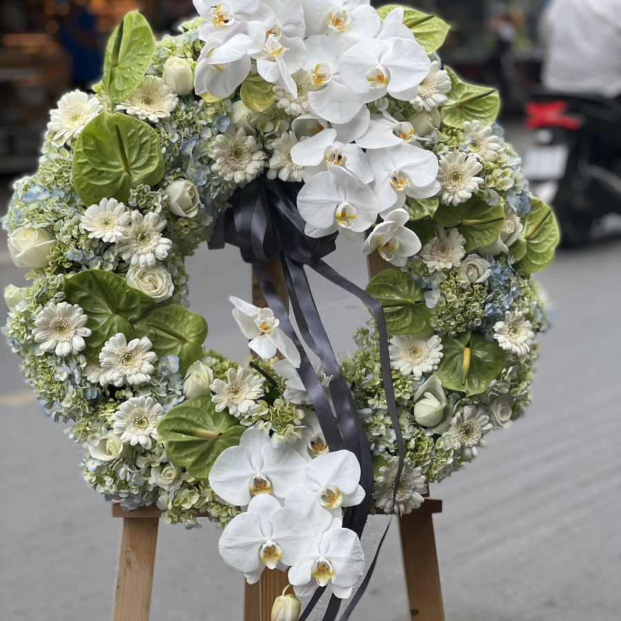Ánh Sáng Trong Đêm