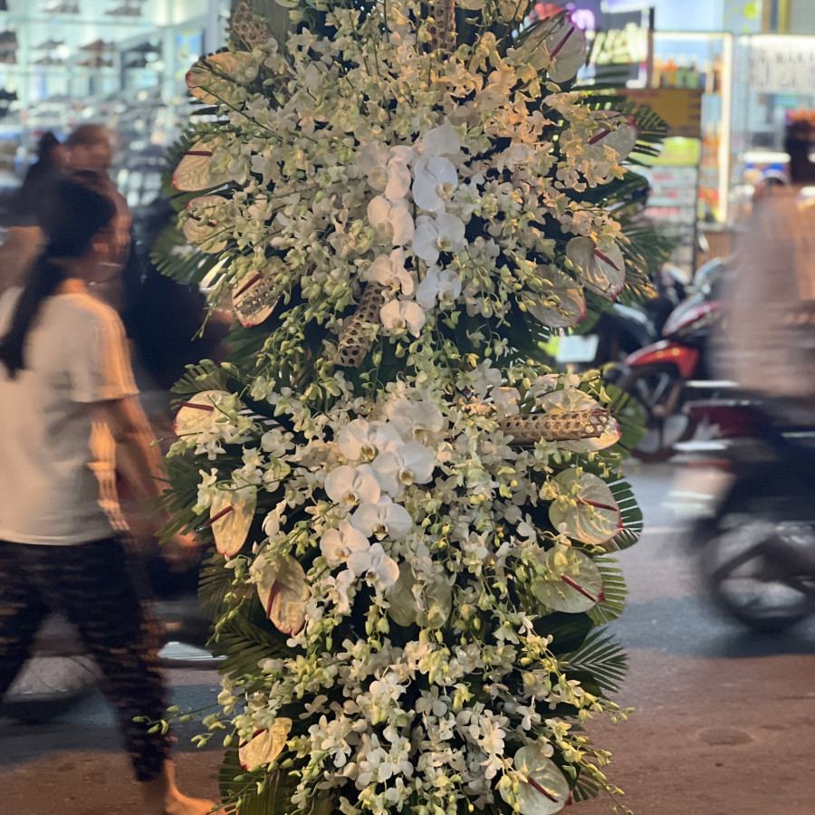 Biển cả yên bình